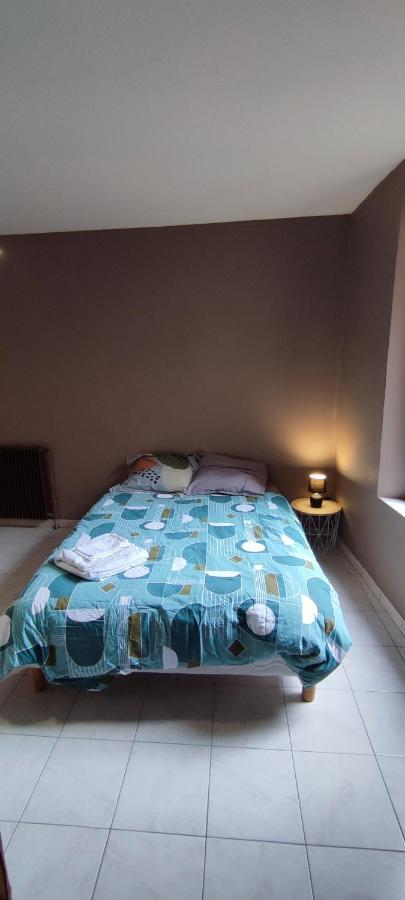 Hypercentre Grand Appartement Lumineux 3 Chambres Parking Agen Esterno foto